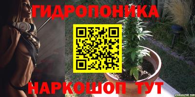 синтетический гашиш Новодвинск